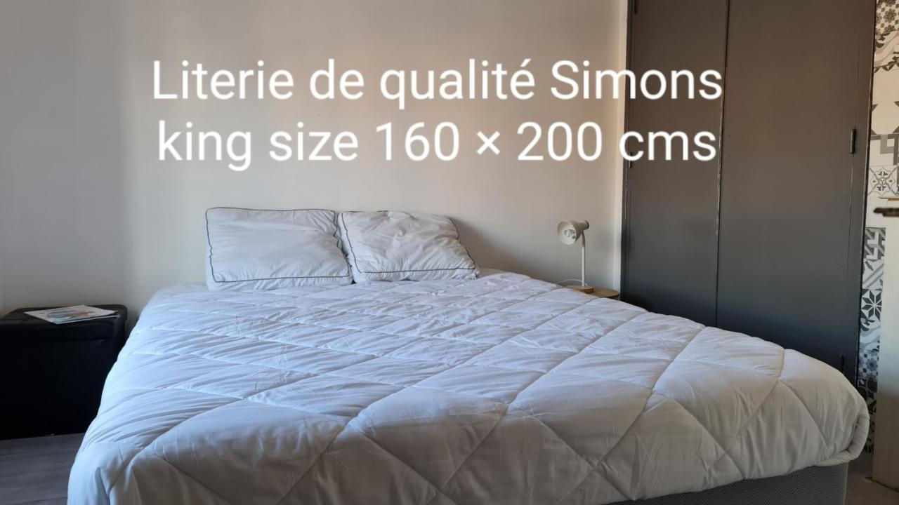 Le Studio De La Republique Agde Εξωτερικό φωτογραφία